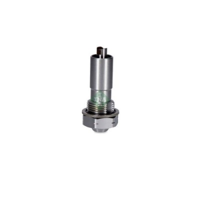 Schaeffler INA intinzator, lant distributie foto