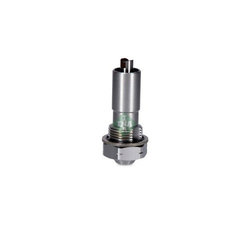 Schaeffler INA intinzator, lant distributie