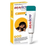 Bravecto Spot-On C&acirc;ini 112.5 mg (2 - 4.5 kg) pentru purici și căpușe, 1 pipetă