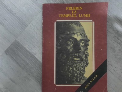 Pelerin la templul lumii de Anca Balaci foto