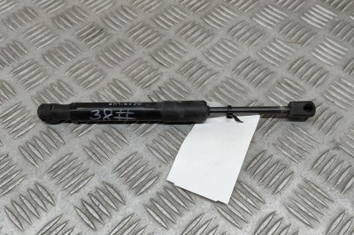 Amortizor capota dreapta față TESLA MODEL Y 2022 OEM: 1692576-00-A 29982666 foto