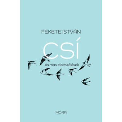 Cs&amp;iacute; &amp;eacute;s m&amp;aacute;s elbesz&amp;eacute;l&amp;eacute;sek - fel&amp;uacute;j&amp;iacute;tott kiad&amp;aacute;s - Fekete Istv&amp;aacute;n foto