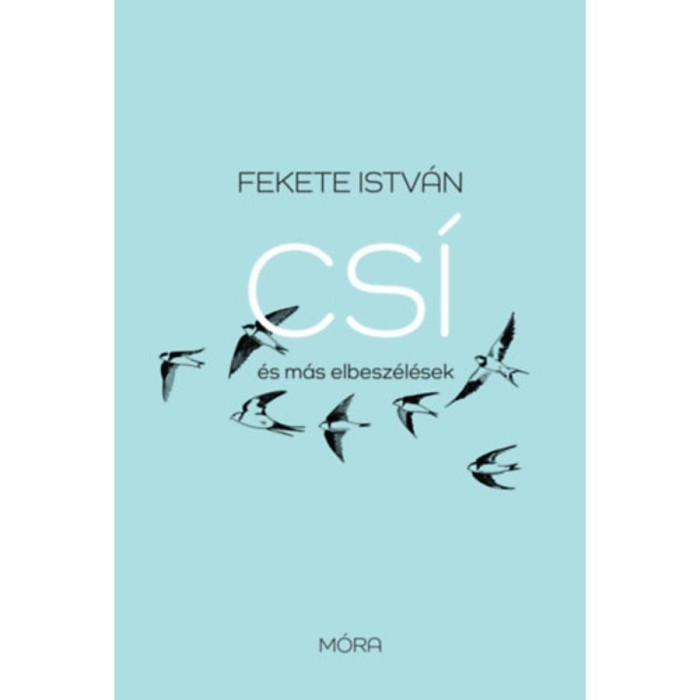 Cs&iacute; &eacute;s m&aacute;s elbesz&eacute;l&eacute;sek - fel&uacute;j&iacute;tott kiad&aacute;s - Fekete Istv&aacute;n