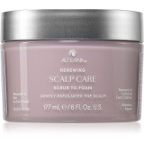 Alterna Scalp Care Scrub To Foam șampon exfoliant cu efect calmant 177 ml