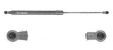 Amortizor capota spate, echilibror haion Peugeot 208, 04.2012-, Stanga = Dreapta, Lungime, Cursa, Forta: 469 mm, 186 mm, 430 N; haion cu spoiler, Hat