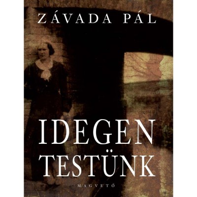 Idegen test&amp;uuml;nk - Z&amp;aacute;vada P&amp;aacute;l foto