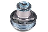 Pompa apa Audi A3, Q3 (8UB, 8UG), Tt (8J3) Motor 2.5 RS quattro, RS 2.5 quattro, RS performance 2.5 quattro, RS3 quattro, OE 07K121011F