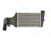 Radiator intercooler OPEL ASTRA G Limuzina (F69) (1998 - 2009) THERMOTEC DAX001TT