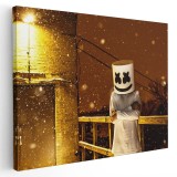 Tablou afis DJ Marshmello 2388 Tablou canvas pe panza CU RAMA 50x70 cm