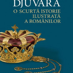 O scurta istorie ilustrata a romanilor