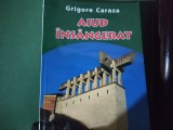 AIUD &Icirc;NS&Acirc;NGERAT - GRIGORE CARAZA, EDITIA A IV A DEFINITIVA, 2010, 464 PAG+ FOTO