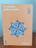 Jeffrey A. Kottler, &Icirc;n culisele psihoterapiei