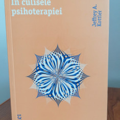 Jeffrey A. Kottler, În culisele psihoterapiei