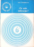 Ce este siderurgia? - Paul Iordanescu, Editura Tehnica 1981, Stiinta si Tehnica, 125 pagini, Carte de stiinta, limba romana