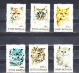 A11 TX1 3 - 1993 - Pisici, Fauna, Nestampilat