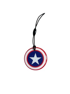 Cartela Interfon Tag EM4305, Clonabil , Set 10 bucati, Epoxy, Stea foto