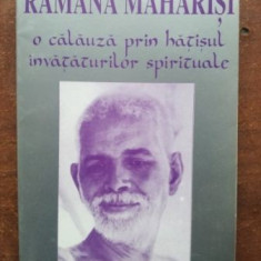 O calauza prin hatisul invataturilor spirituale- Ramana Maharisi