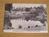 BVS - CARTI POSTALE - MAREA BRITANIE 7, Franta, Necirculata, Fotografie