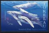 TOKELAU 1997-Balena cu cocoase-bloc nestampilat MNH