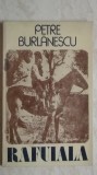 Petre Burlanescu - Rafuiala, 1981