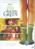 Viața stranie a lui Timothy Green