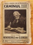 Nenorocirile Unui Slujnicar. Biblioteca Caminul Nr. 24 - Nicolae Filimon