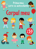 Corpul meu |, Litera