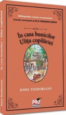 In casa bunicilor. Ulita copilariei - Universul Juridic