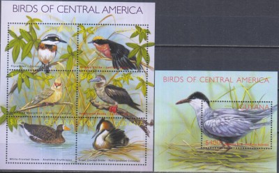 Timbre cu păsări din America Centrală din Guyana foto