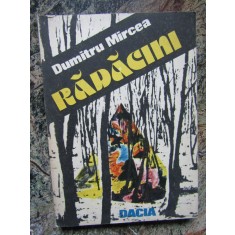 Radacini - Dumitru Mircea