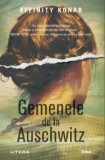 Gemenele de la Auschwitz/Affinity Konar