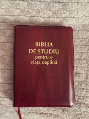 V&amp;acirc;nd aceste 2 scripturi noi. foto