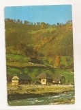 RF77-Carte Postala - Peisaj la Cormaia - Jud Bistrita Nasaud, circulata 1985
