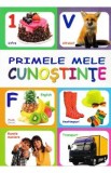 Primele mele cunostinte