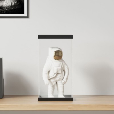 vidaXL Cutie de prezentare, transparent, 20x20x38 cm, acril 154920 foto
