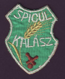 Emblema sportiva brodata Echipa de Popice KALASZ / SPICUL Cluj, anii 50