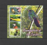 NEVIS 2005 PASARI COLIBRI