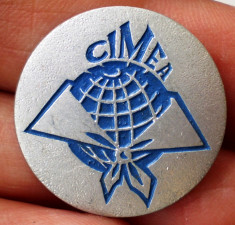 I.332 INSIGNA CIMEA ICCAM PIONIER PIONIERI WFDY 22mm foto