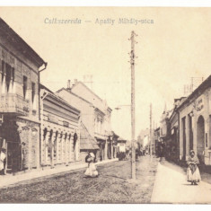 2356 - MIERCUREA CIUC, Harghita, Romania - old postcard - unused - 1918