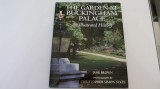 Buckingham palace - gradinile