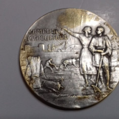 Medalia Expositie Camera de Agricultura