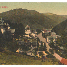 SV * Salutari din SINAIA * Strada Principala * Castelul Peles * Cazinoul * 1914