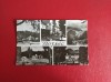 CARTE POSTALA - RPR - BORSEC, Circulata, Fotografie