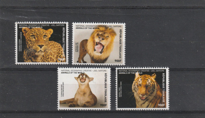 Togo 2016-Fauna,leopard,leu,pantera,tigru,serie 4 valori,MNH,Mi.7929-7932