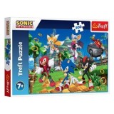Puzzle Sonic &icirc;n Poziție de Luptă pentru Copii, CMCLASS