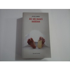 AI SA MORI MAINE - PETER JAMES