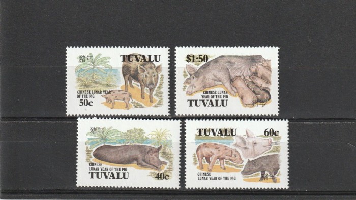 Fauna ,porci ,Tuvalu.