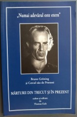 BRUNO GRONING: MARTURII DIN TRECUT SI IN PREZENT CULESE DE THOMAS EICH (2020)