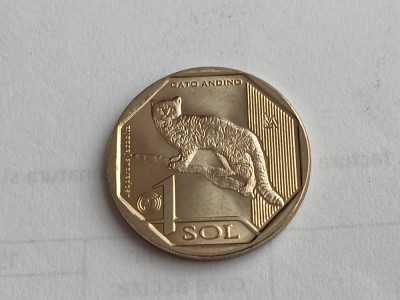 C50 - Moneda foarte veche - Peru - 1 sol - 2019 foto