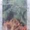 PESTERA IDEILOR-JOSE CARLOS SOMOZA-225530